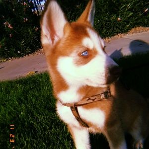 Meet your Posher, Deborah